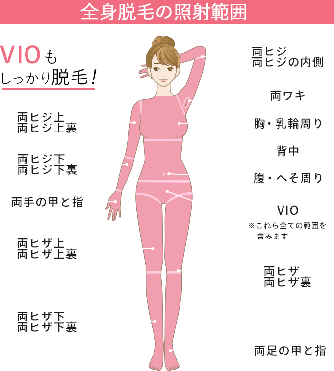 全身脱毛適応部位