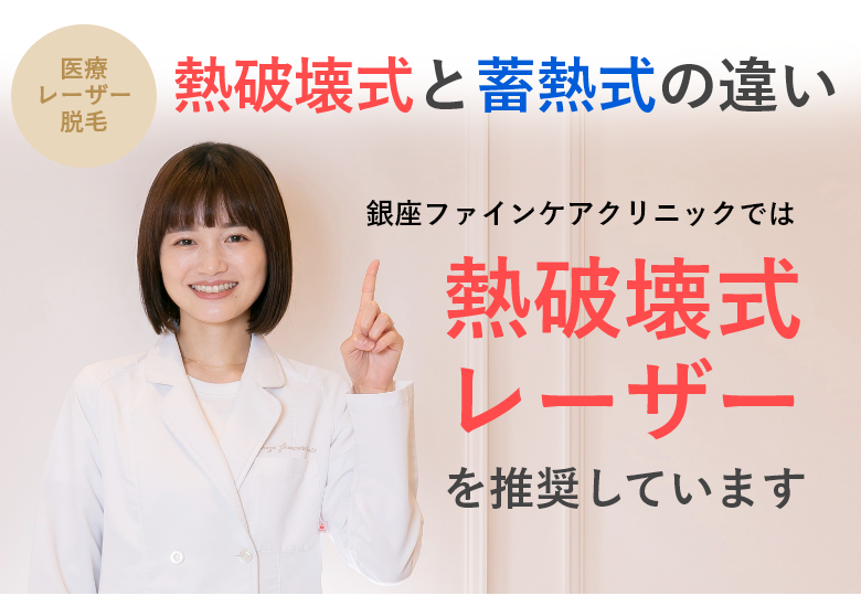 熱破壊式