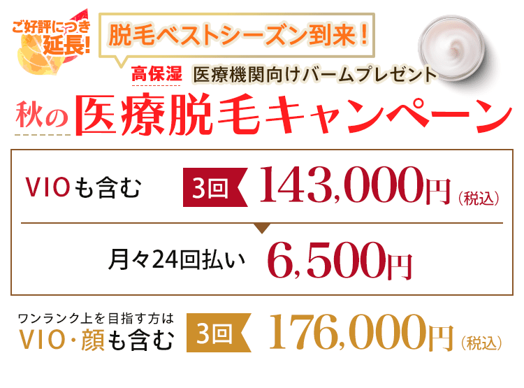 医療レーザー全身脱毛