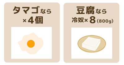 タンパク質